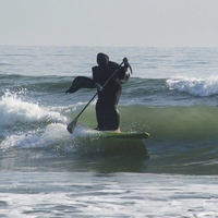 Les vacances de la Mort