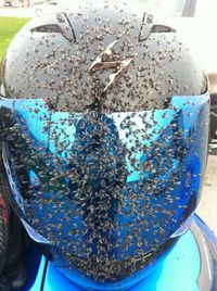 Génocide en moto