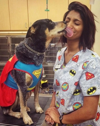 Super chien lance super-léchouille, c'est super efficace