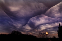 Nuage asperatus