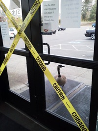 You shall not pass