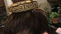 Ne venez pas lui crêper le chignon