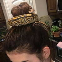 Ne venez pas lui crêper le chignon