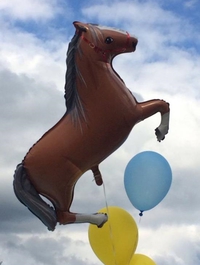 Pipette de cheval 