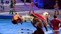 Saut d'obstacle