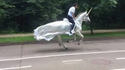 Une licorne