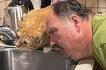 Super Mario IRL et Super Gatto
