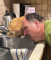 Super Mario IRL et Super Gatto