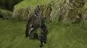 Montage Monster Hunter