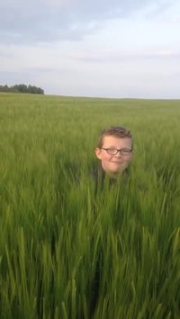 Dans les champs, personne ne vous entendra crier