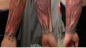 Tatouages intérieurs