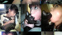 Les Japonaises et leur chat