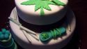 Cake aux plantes