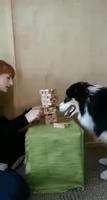 Une partie de jenga 