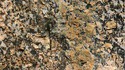 Camouflage 2