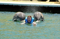 Poussette effectuée par 2 dauphins