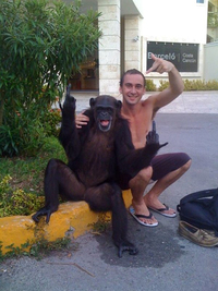 L'apprentissage du singe