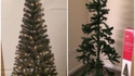 Mon beau sapin