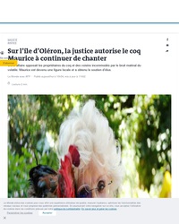 Le coq a finalement le droit de chanter