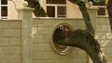 Arbre perceur