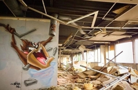 Taz, une vraie tornade 