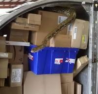 Livraison de colis contrariée