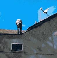 Risqué, très risqué !