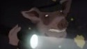 Qu'est ce que c'est que ce gif ?