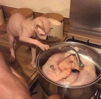 maman ?