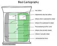 La cartographie du lit