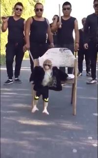 Un singe et ses hommes de main