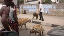 Gang de rue