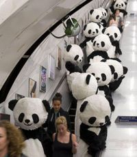 ILS NOUS ENVAHISSENT !