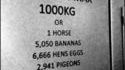 1000 kg maxi