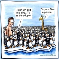 une adoption