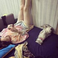 Pavlov effect ?