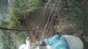 Sauvetage de mouton
