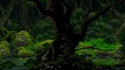 Arbre sous la pluie