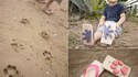 Getas  customisées
