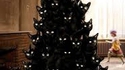 Chat-pin de Nowel
