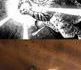 Catmehamema !!