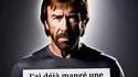 Y a pas assez de Chuck Norris Facts