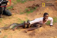 Documentaire sur les boas
