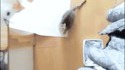 Saut de chat