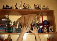 Non, non, non, ne bouge plus sale fdp !