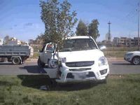 La voiture et l'arbuste