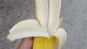 Double banane