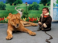 Kan Radjâ t'a déjà boulotté un bon morceau, mais que tu n'arrives pas vraiment à lui en vouloir...