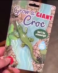 Toi aussi tu as droit à ton caïman