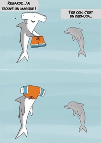 Un dauphin et un requin